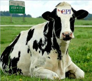 CPI Cow
