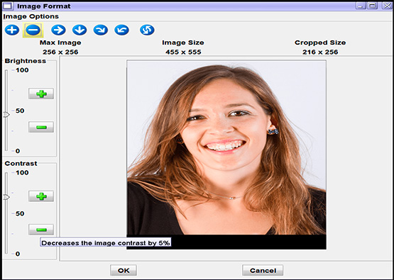 image handling demonstration for the OpenFox® Messenger Workstation application