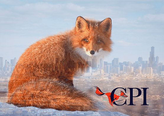 the CPI OpenFox® logo in front of a city skyline.jpg