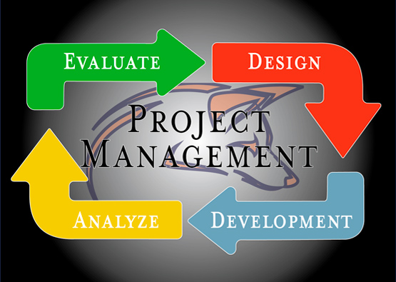 the CPI OpenFox project management process