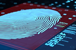 a finger print scanned through a software