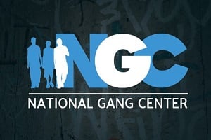 national gang center