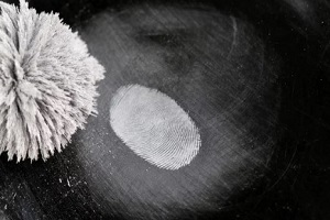 dusting fingerprint