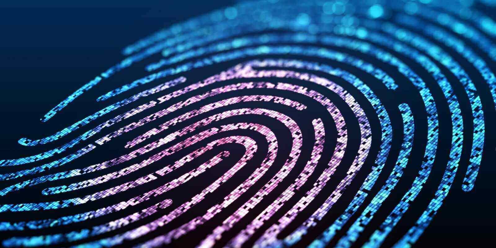 What Is Fingerprint Evidence at Betty Bauer blog